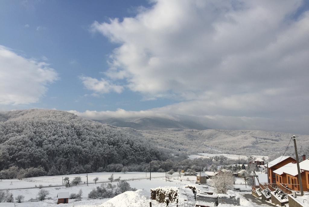 فيلا Solnce Karpat بوليانا المظهر الخارجي الصورة